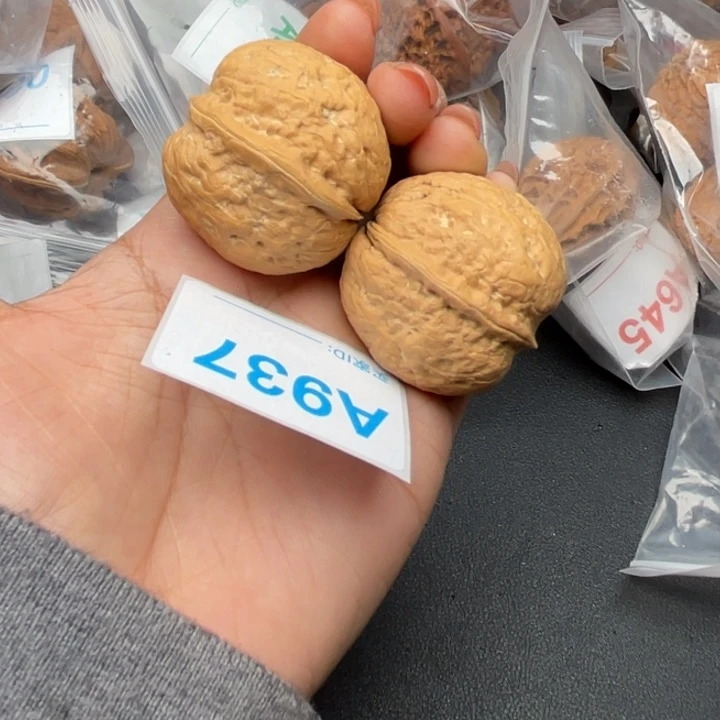 吊坠文玩核桃核桃