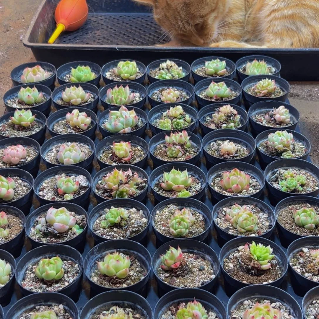 458的人了还在看电视吗我