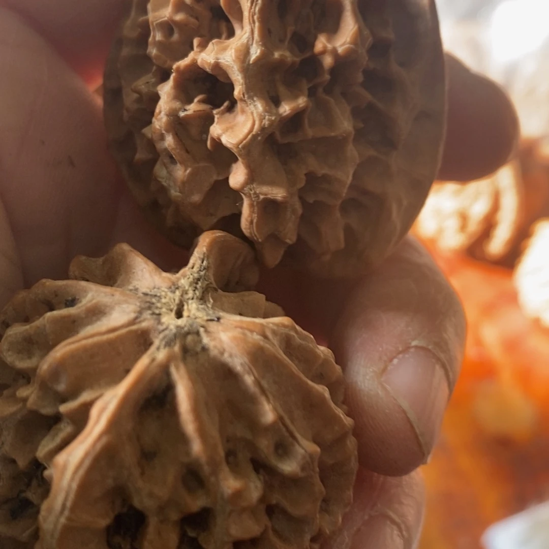 S**K秦岭南侧和东北北部分别