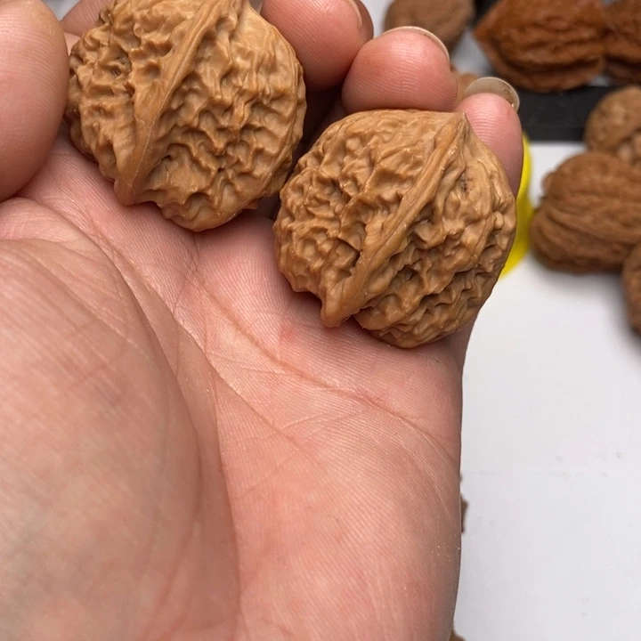 野狼狮子头34尺寸