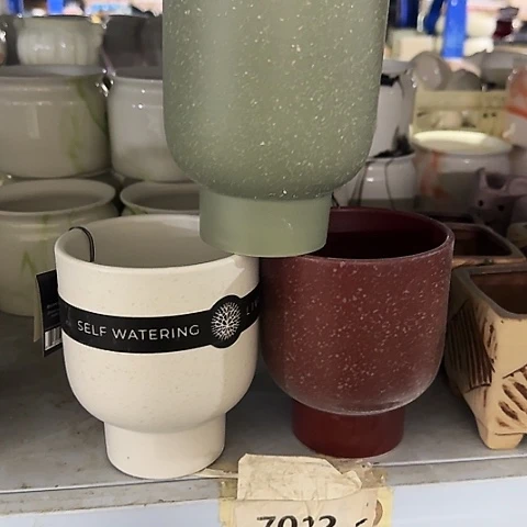 3个·当场直播凑15元发·慎拍·7038