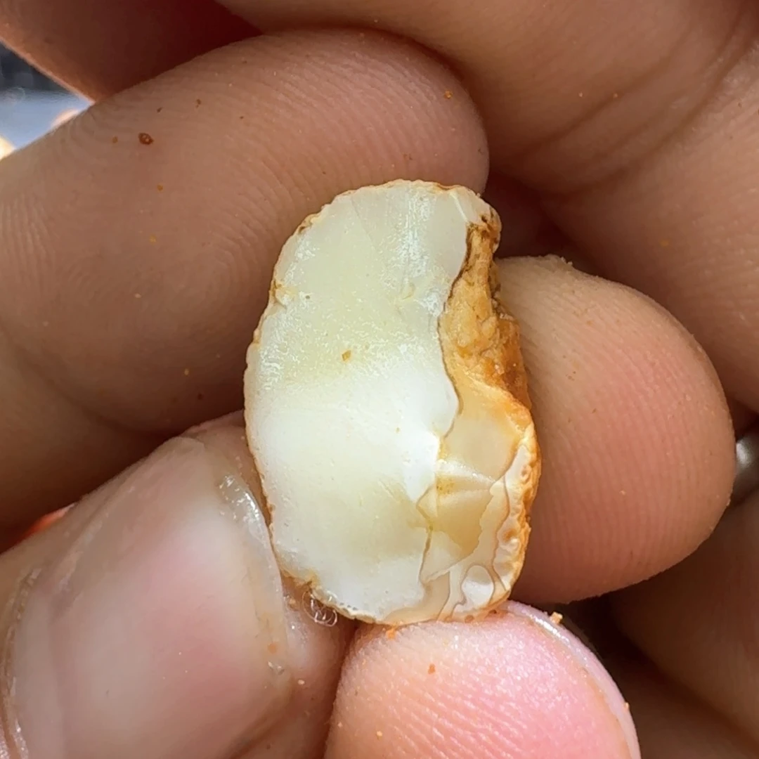 定制琥珀未镶嵌专拍