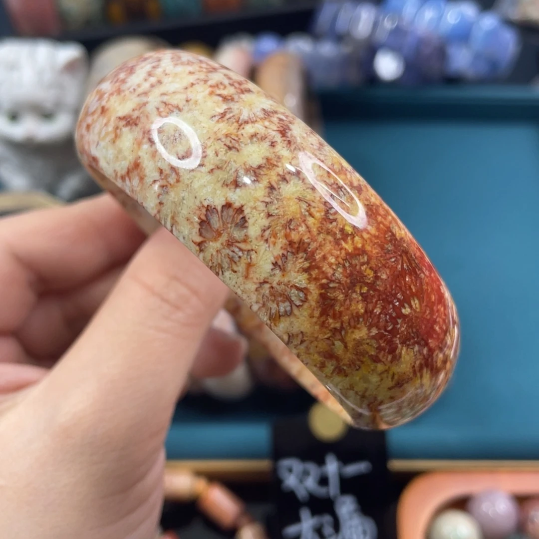 未镶嵌手镯硅化玉