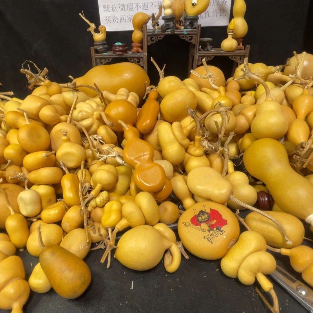 不***_666666666666666666