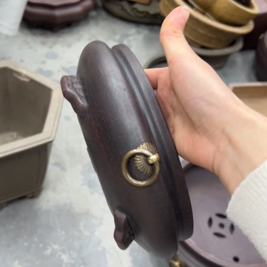 紫砂花盆中放的有木