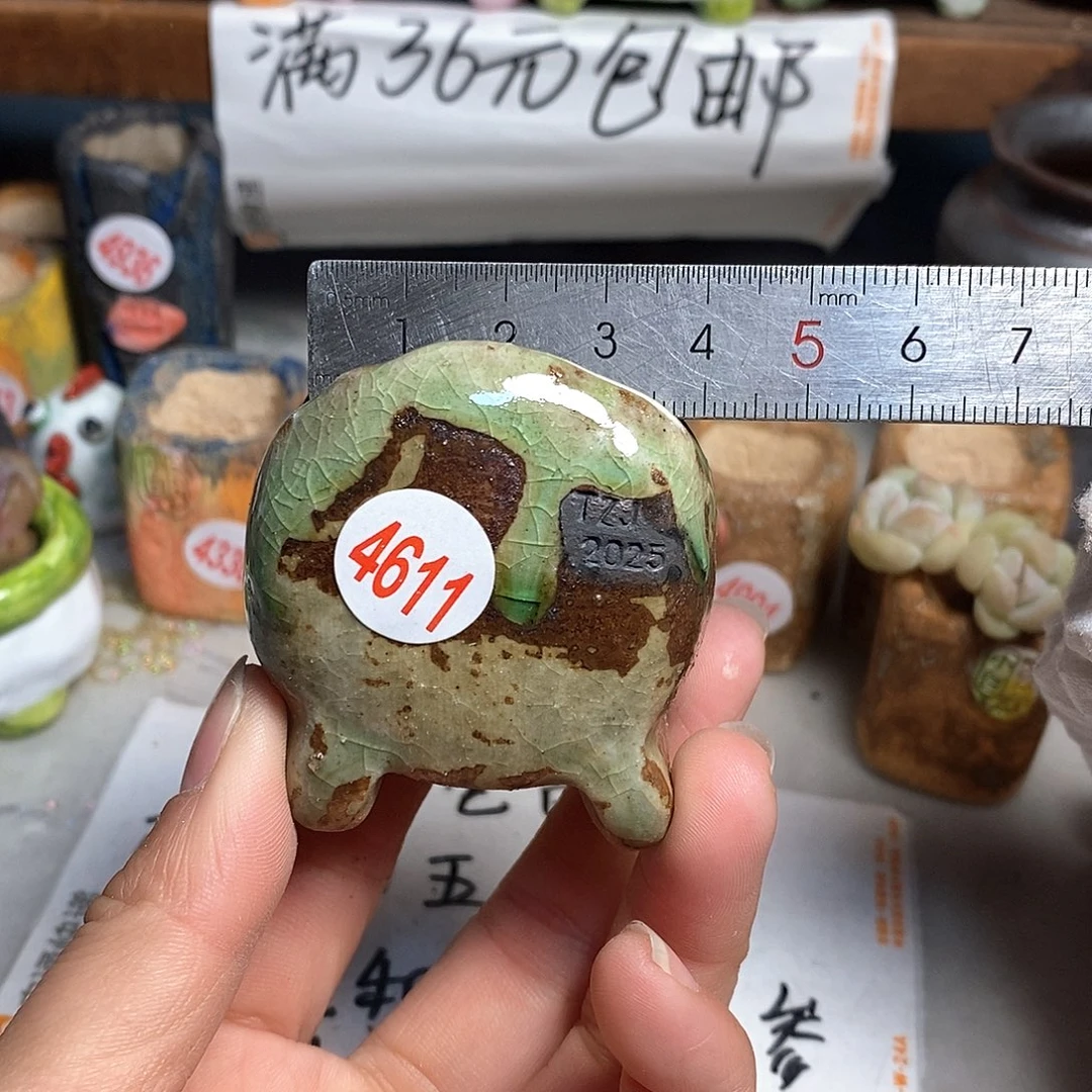 红陶拍5送一个小