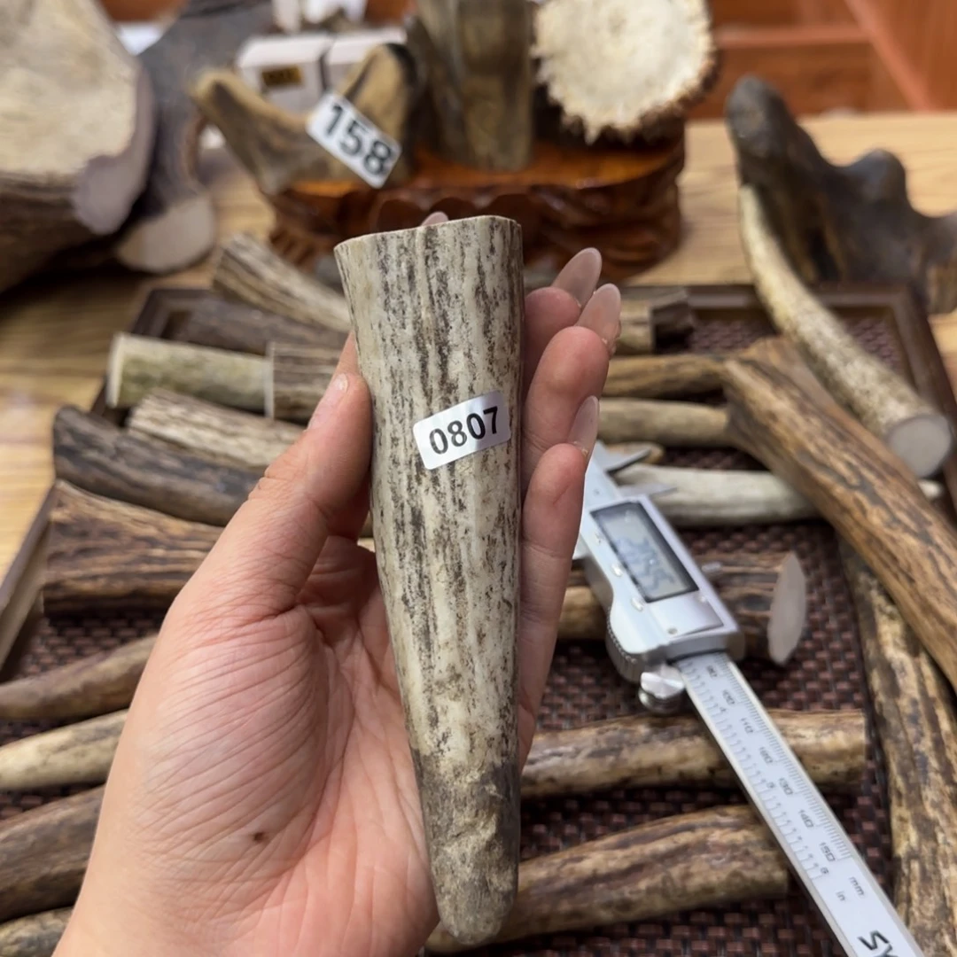 鹿骨其他0807脚尖