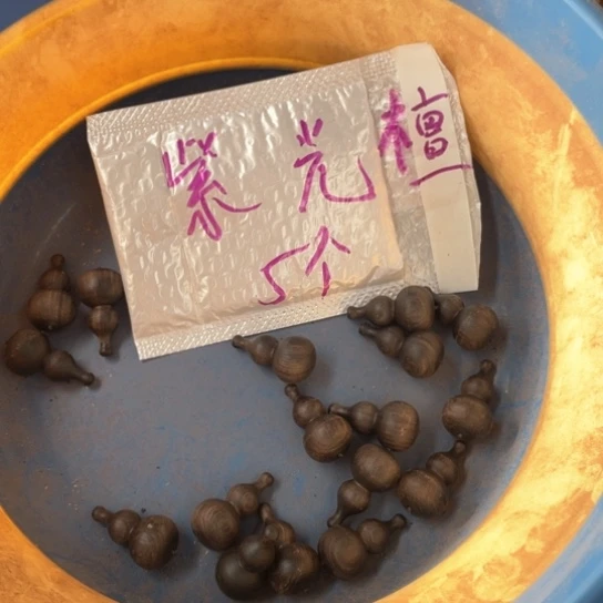 非洲紫檀（红花梨）