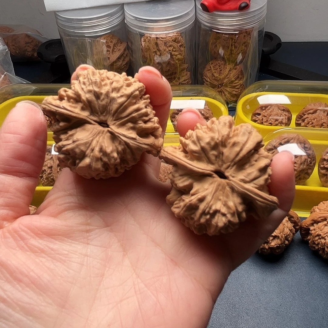 核桃46尺寸大官帽