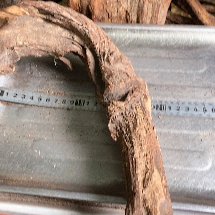 花梨木类?****″海南花梨