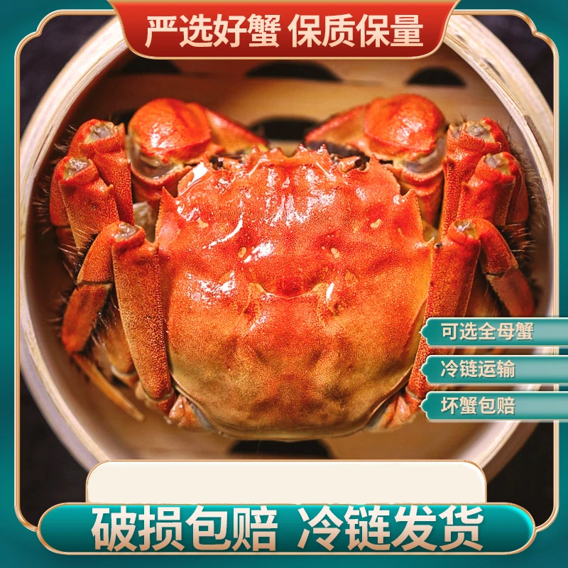 【活蟹】苏州大闸蟹 5两公蟹 4两母蟹 4对 8只鲜活湖蟹源头直发礼盒