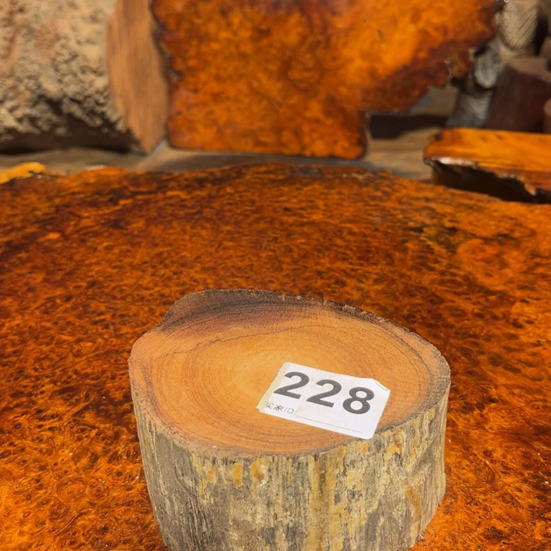 大果紫檀（缅甸花梨）