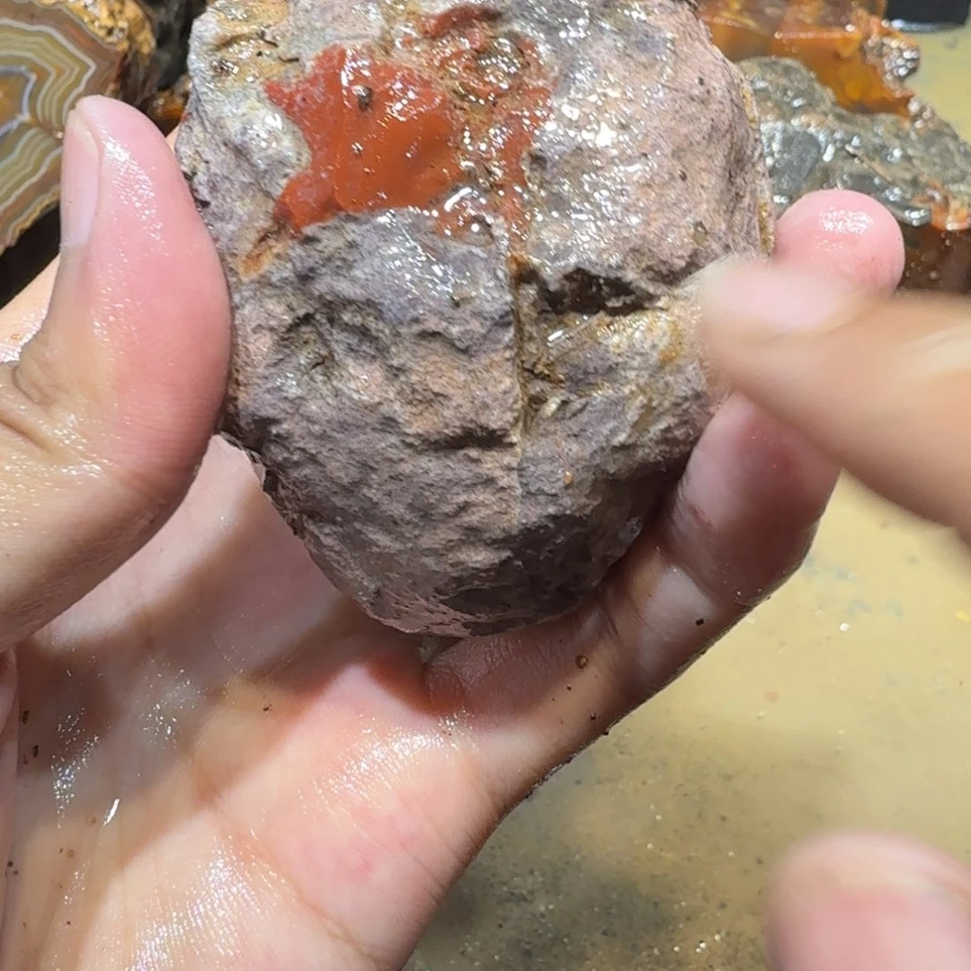 未镶嵌玛瑙/玉髓珠宝半成品