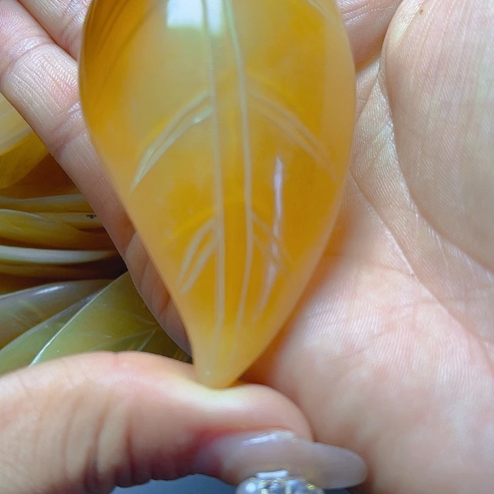 大果紫檀（缅甸花梨）