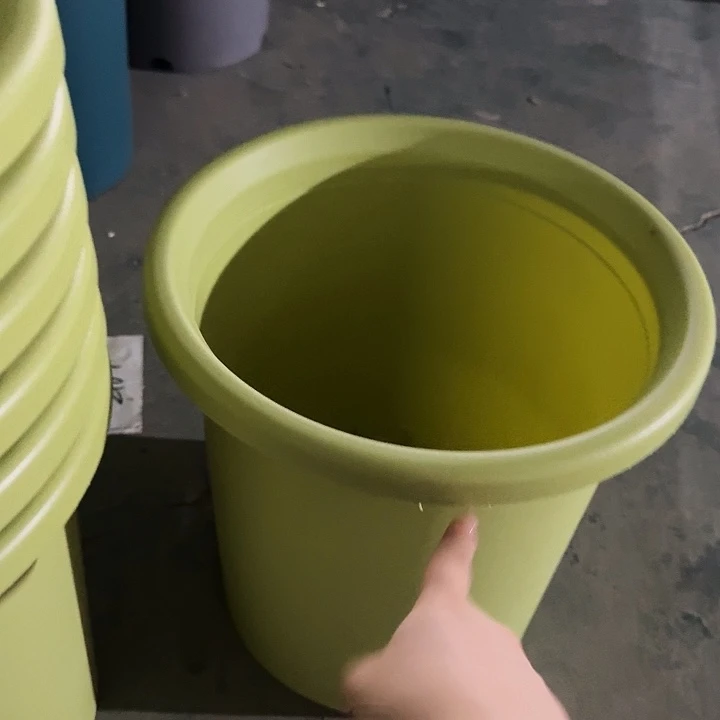 四季7号果绿无托2个