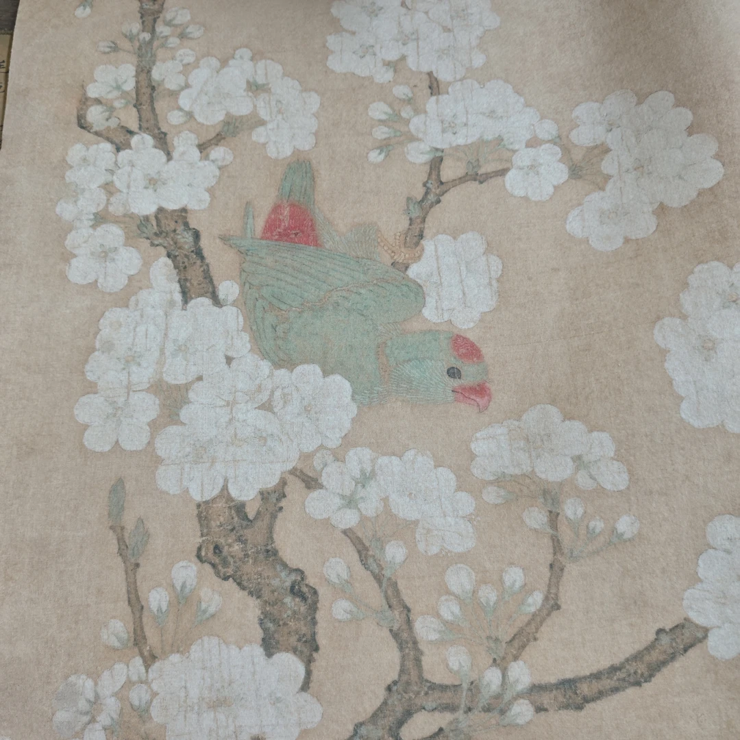 超级王炸【0.8x1.15】“梨花鹦鹉图”书画毛毡一条