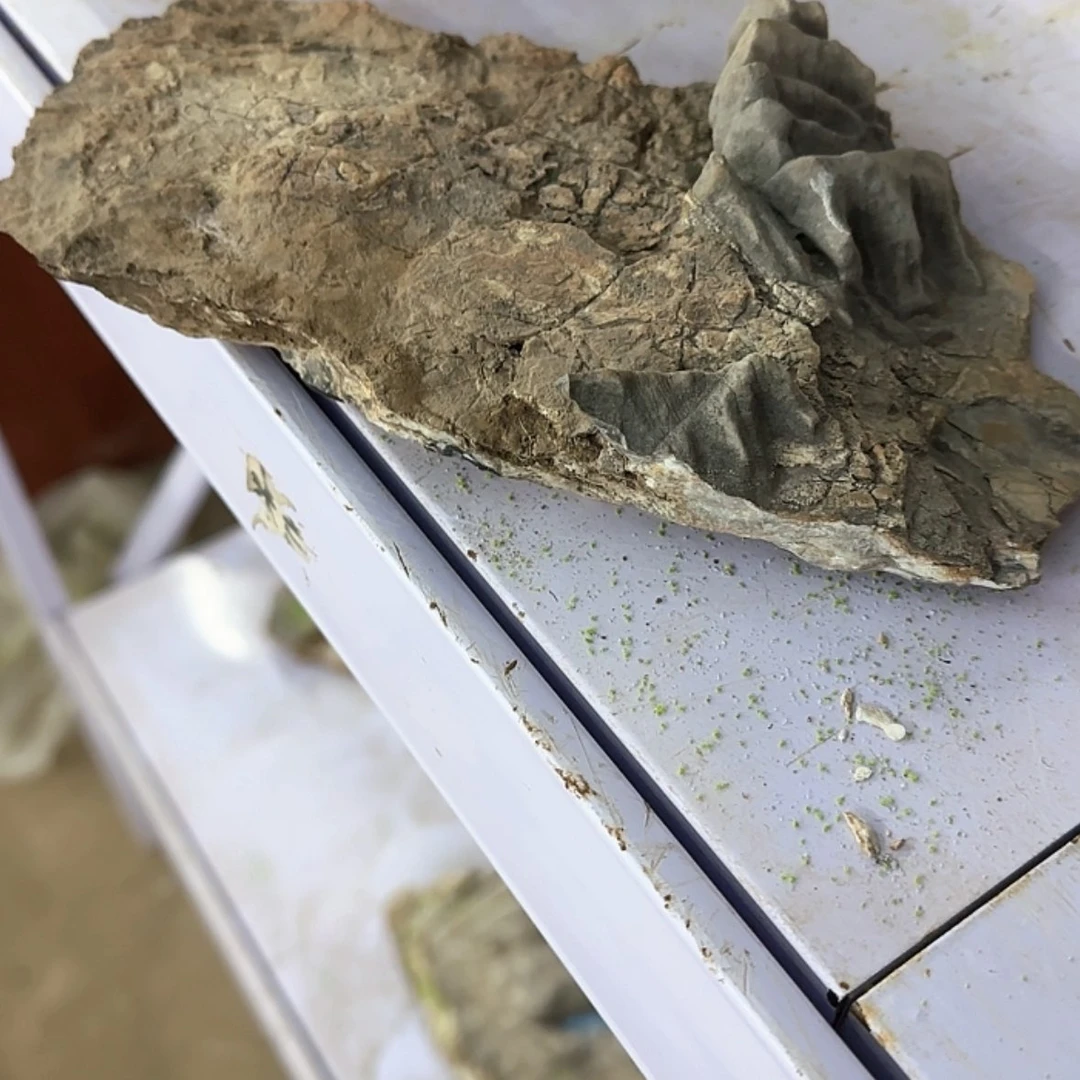 【闪购商品】香榧木古*出来吃火锅吃什么火锅了