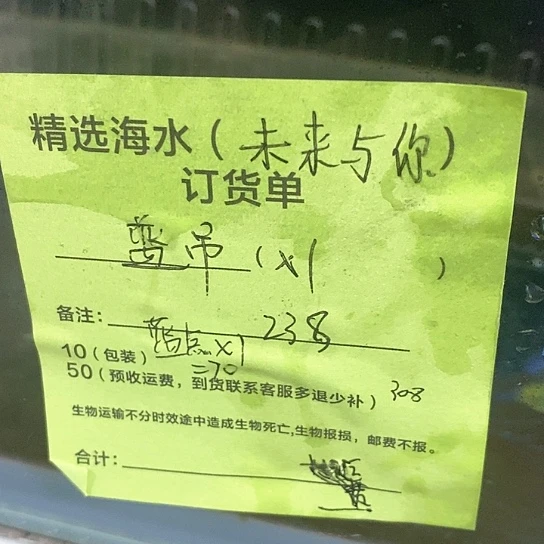 海水鱼大蓝吊➕蓝点吊