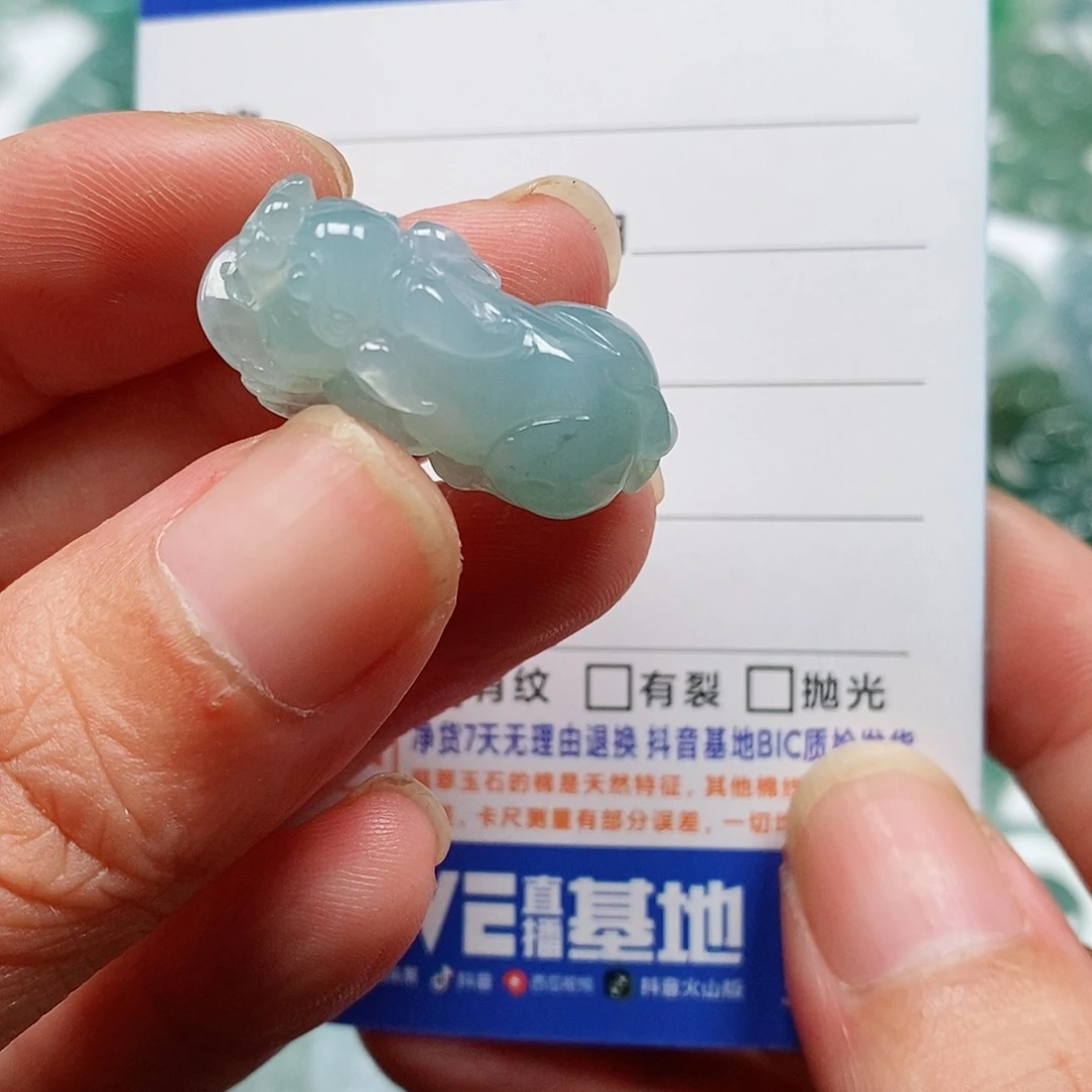 翡翠未镶嵌颈饰貔貅