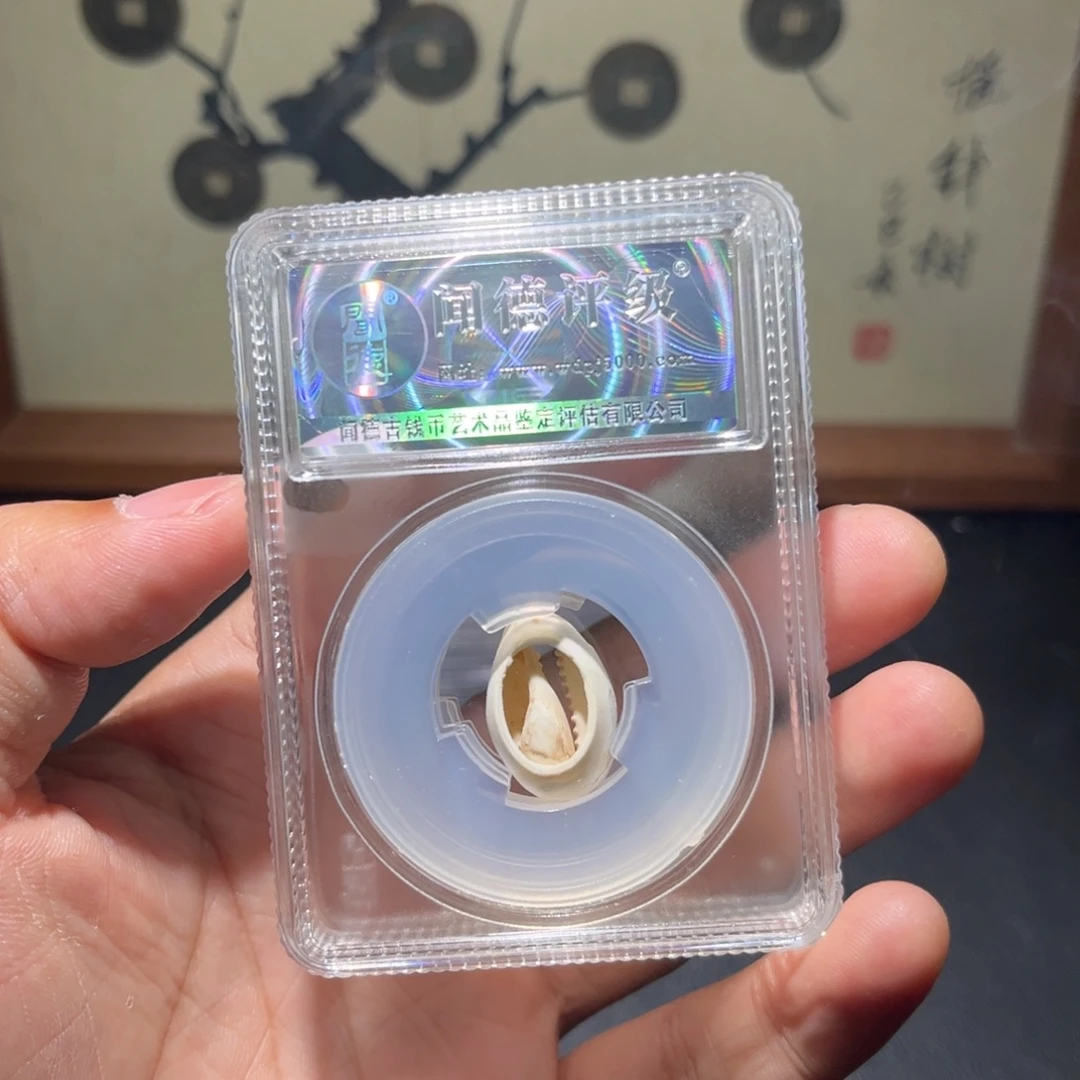铜贝币古珍福利777777777
