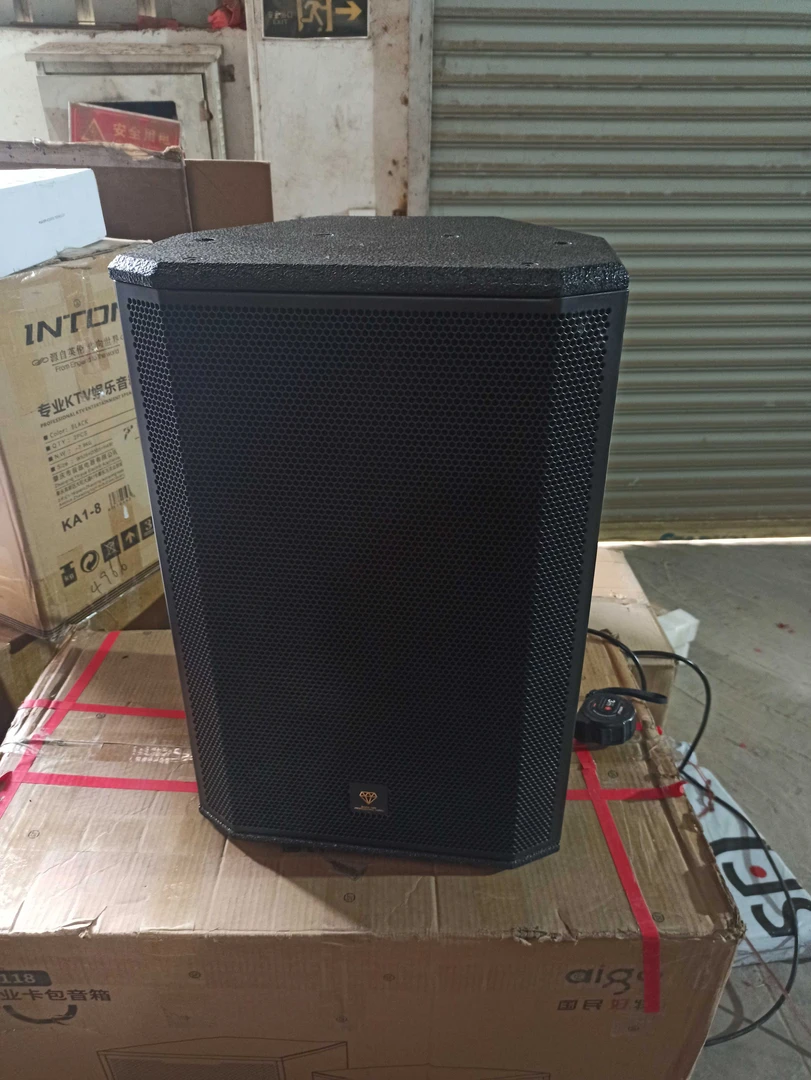 准新品  10寸落地专业音响一对qs-10不包邮