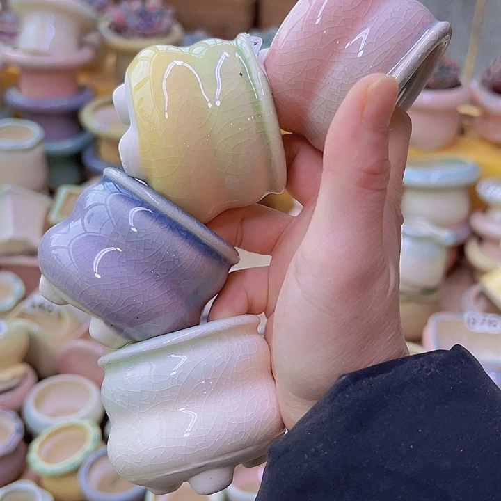 红陶陶瓷花盆当场满12包邮