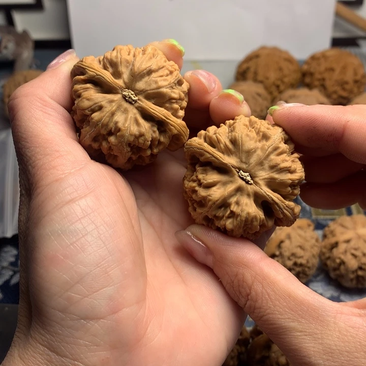 吊坠文玩核桃U****n粗筋