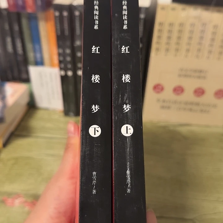 红楼梦无删减闪购12