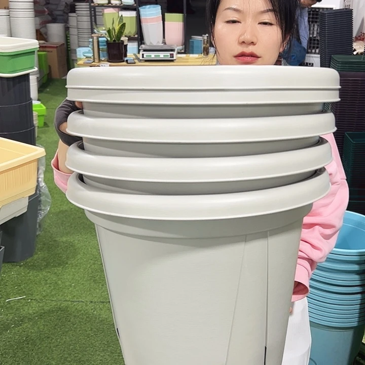 青山口40高34灰白色5个无托