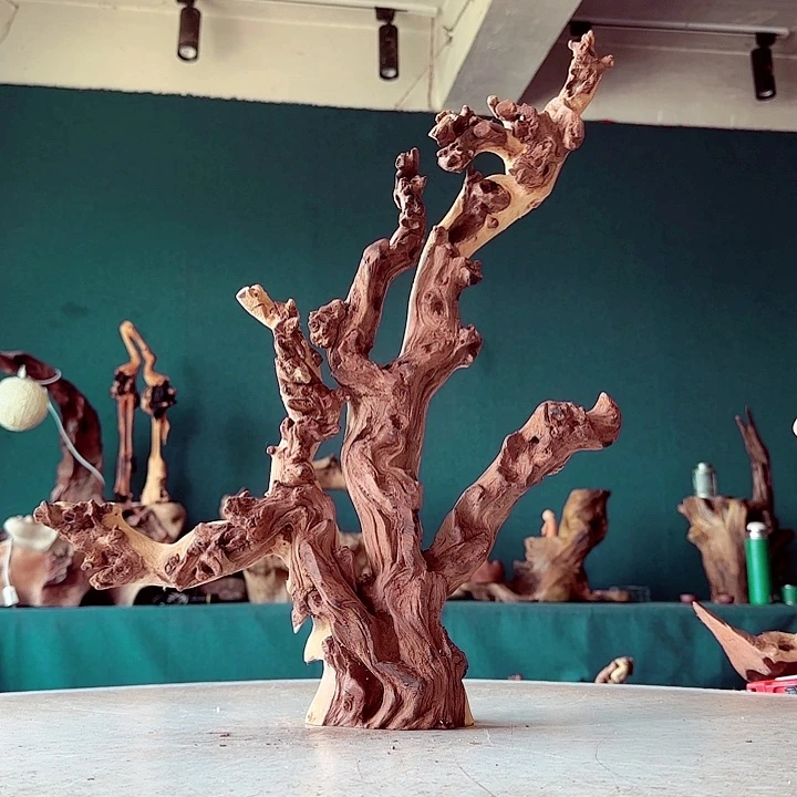 爆***雨木102 金丝红木羊蹄甲半成品