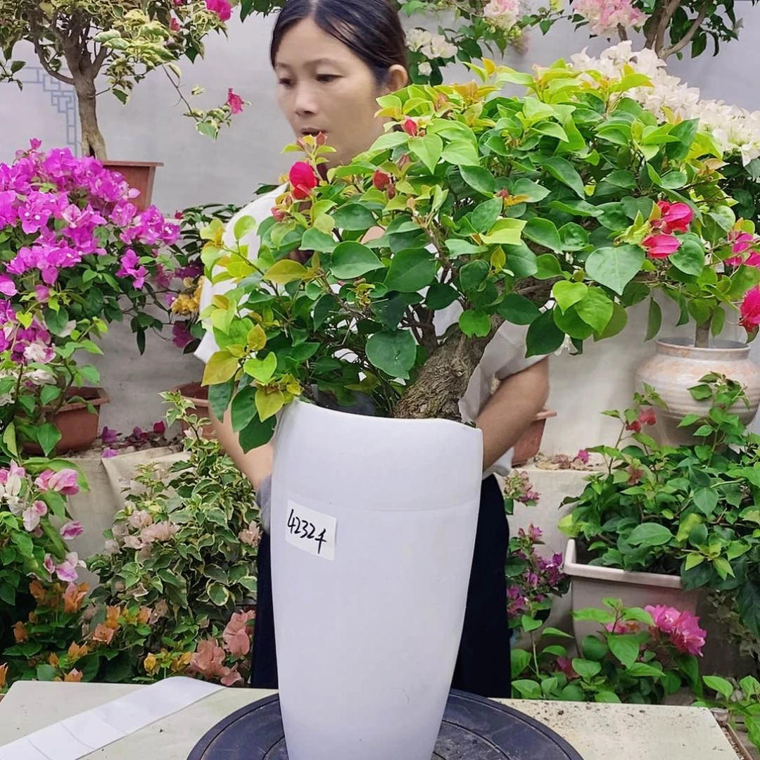 完全开放千**听我们一起加油