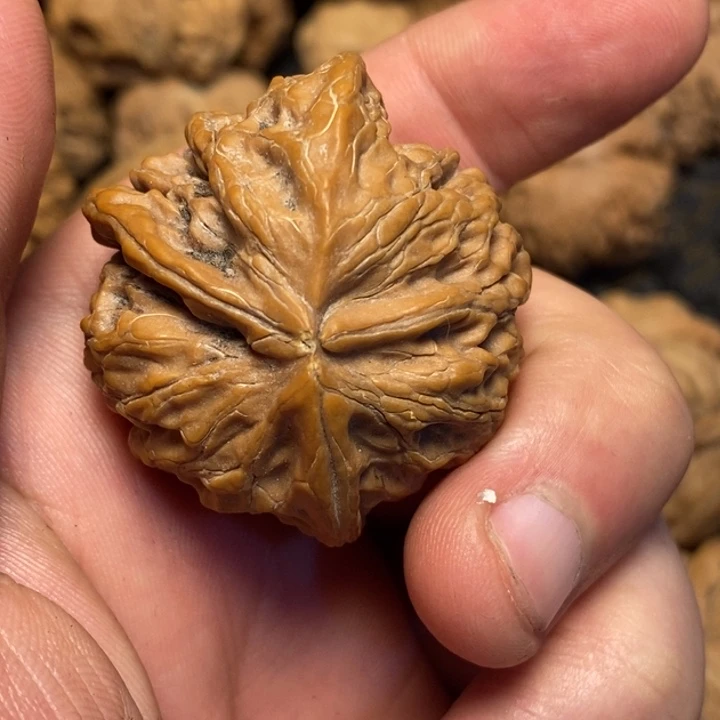 文玩核桃吊坠巍**敌文玩核桃异形单只