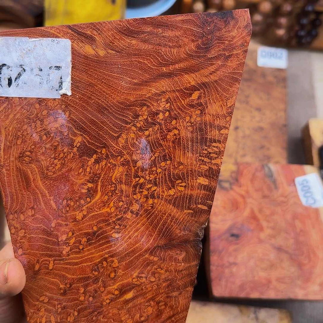 木御*缘小叶羊蹄甲瘤疤聊