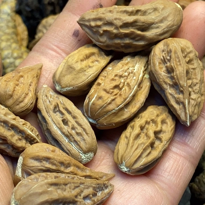 吊坠文玩核桃娜姐123