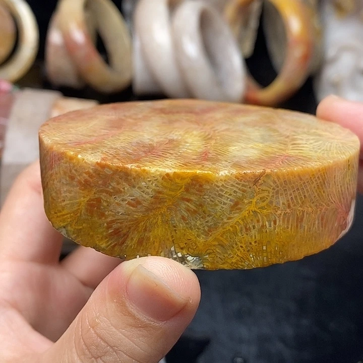 硅化玉未镶嵌颈饰