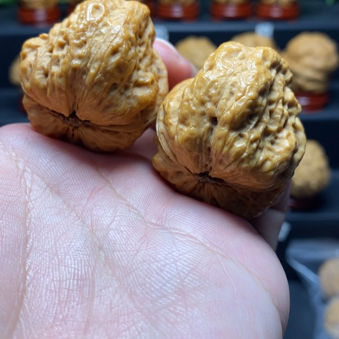 把件文玩核桃38帝王龙脊