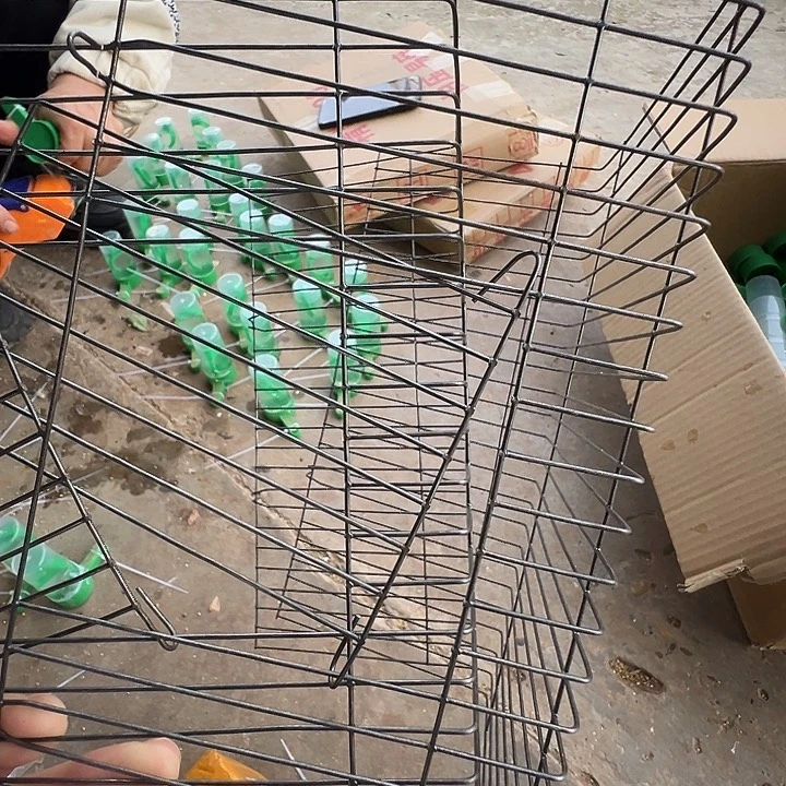 打包运输笼子浅蓝笼子