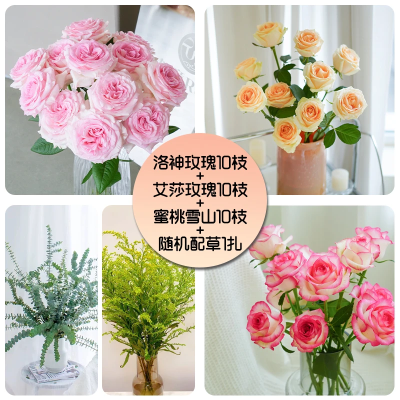 蜜桃雪山10枝+洛神10枝+艾莎10枝+配草