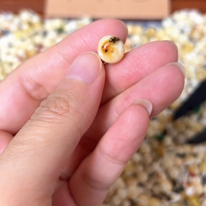 蜜蜡未镶嵌裸石9.5mm一个