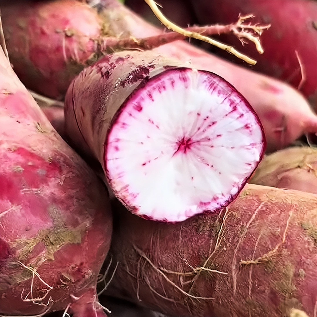 苏北本地穿心红萝卜邳州新沂特产辣萝卜生吃炒菜应季精品新鲜蔬菜