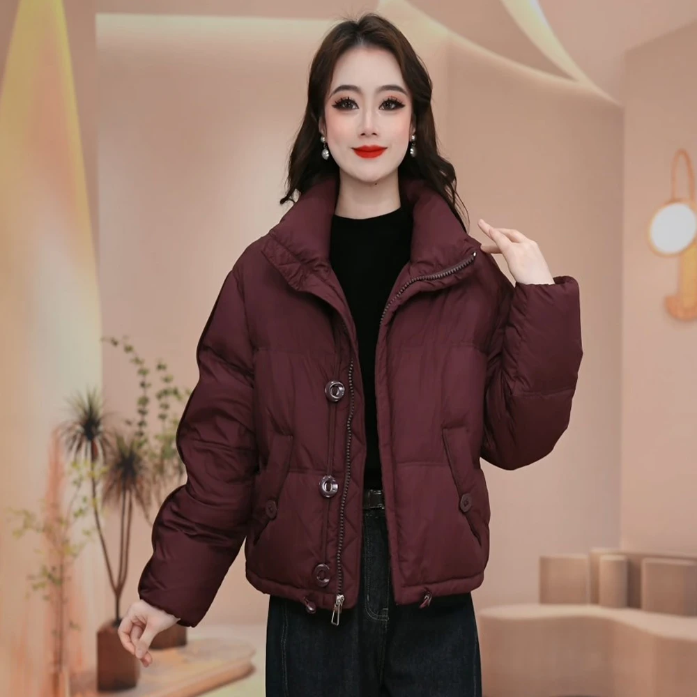 新款冬季气质时尚保暖立领百搭加厚白鸭绒保暖羽绒服B61