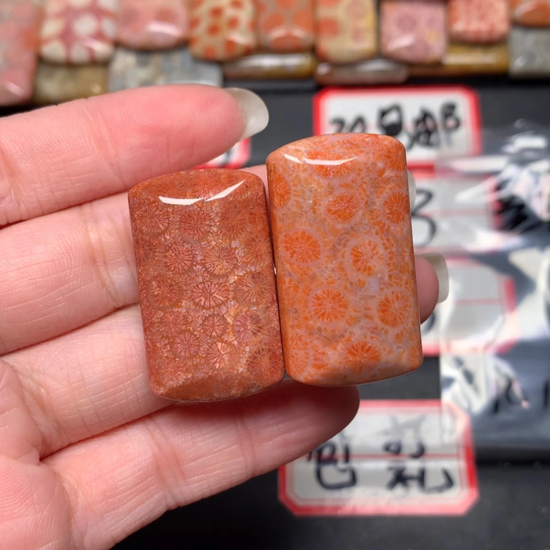【闪购商品】未镶嵌颈饰硅化玉Y****