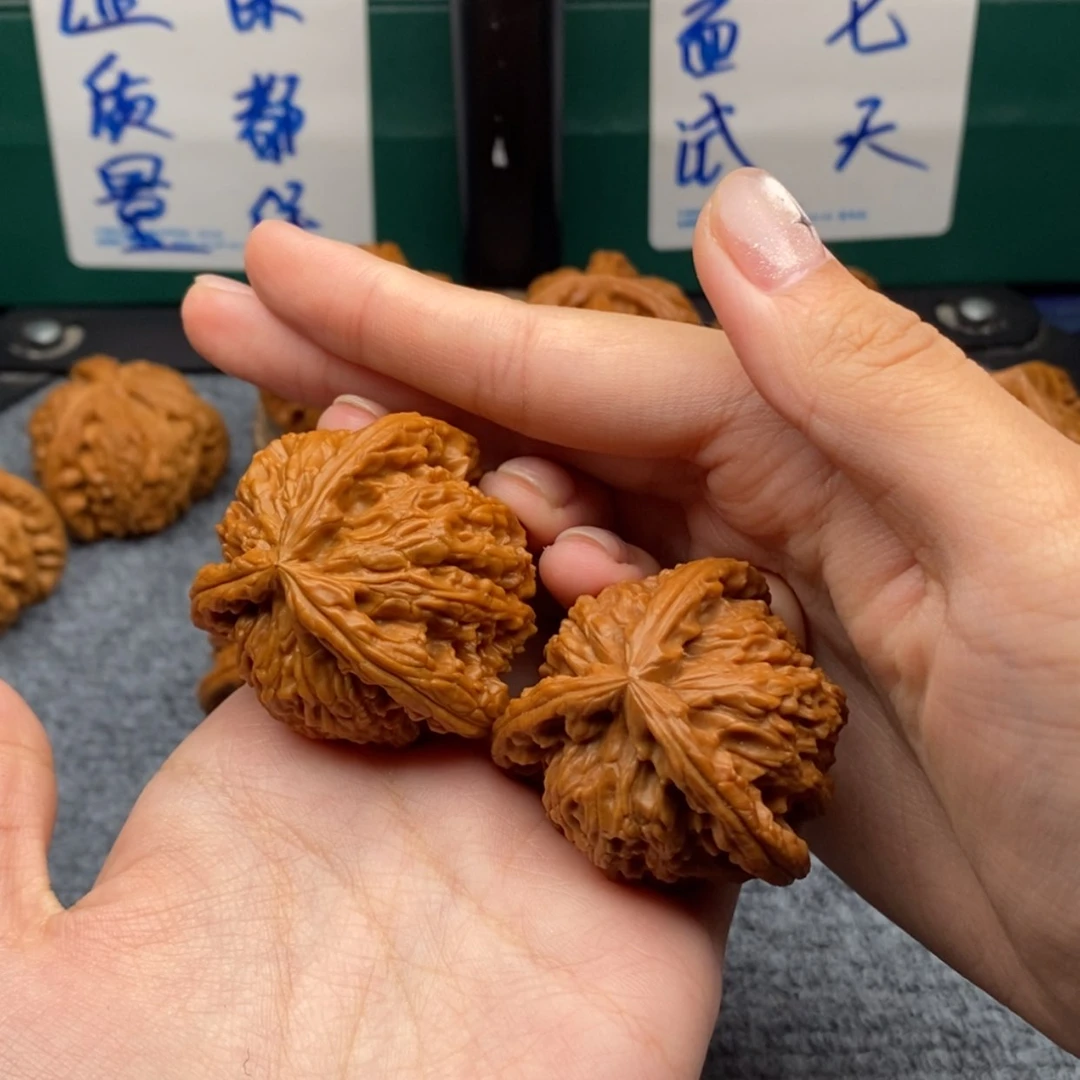 【闪购商品】馥***白白狮子1111111