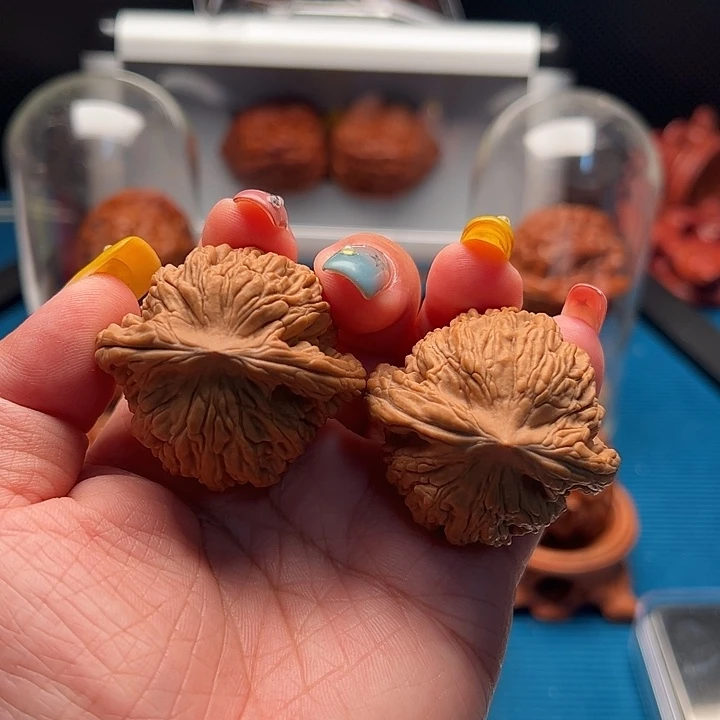 文玩核桃把件至尊虎 全品