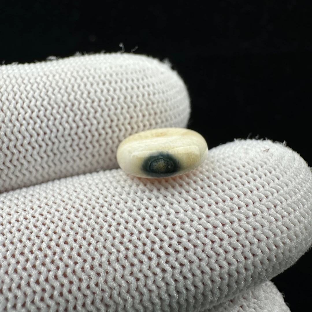D8556天然猛犸牙 蓝眼睛小扣子11.9x4.5mm支持鉴定 假一罚四