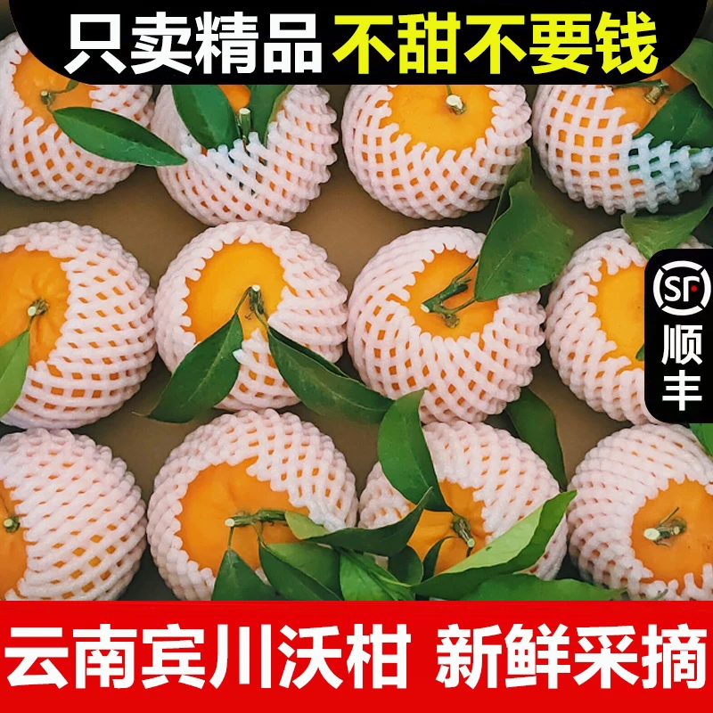 发顺丰 正宗云南宾川沃柑现摘水果柑橘子皮薄香甜大果3斤5斤9斤