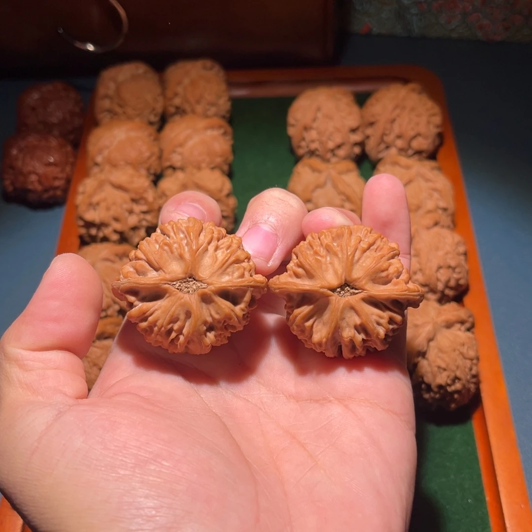 42全品天地核桃核桃
