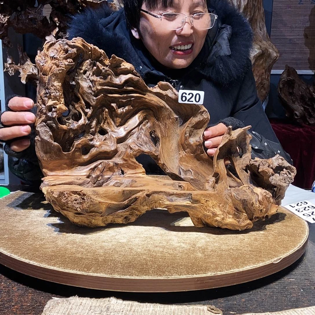 和***鸽620。株木随行根艺