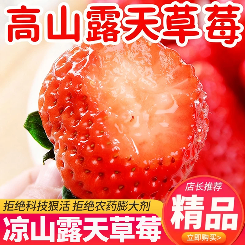 【基地直采】高山露天种植奶油草莓新鲜水果顺丰京东包邮250g/盒LZ