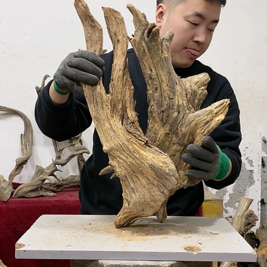 【闪购商品】柏木展****）我们都是好孩子